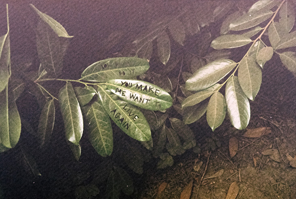 陆游诗夜闻杜鹃