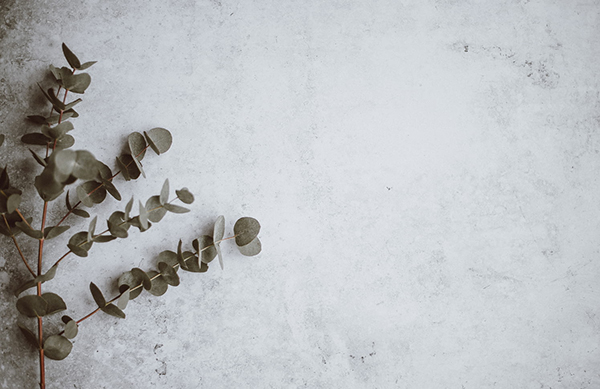 书包拉链怎么装