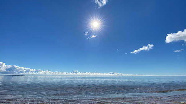 临江仙辛弃疾每联赏析