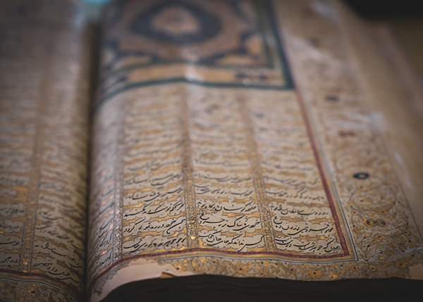 描写油菜的句子